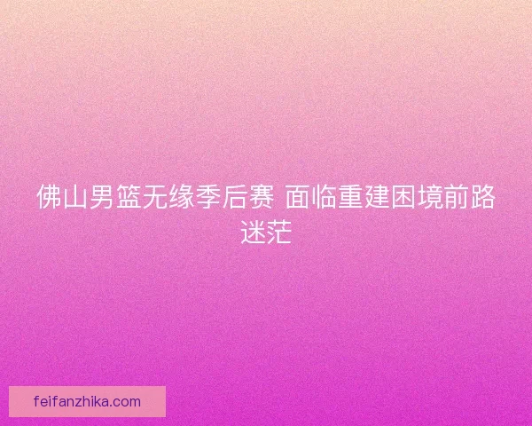 佛山男篮无缘季后赛 面临重建困境前路迷茫
